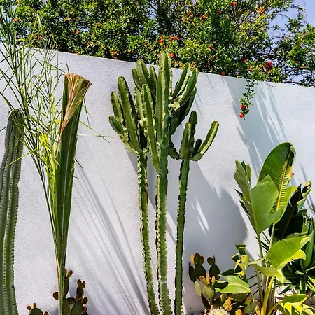 La Selva - Marlu House - Càbras