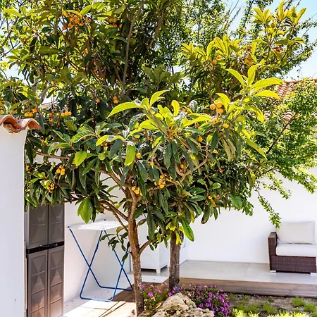 Nyaraló La Selva - Marlu House - *