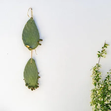 La Selva - Marlu House - * Càbras