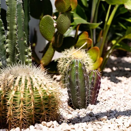 La Selva - Marlu House - * Càbras