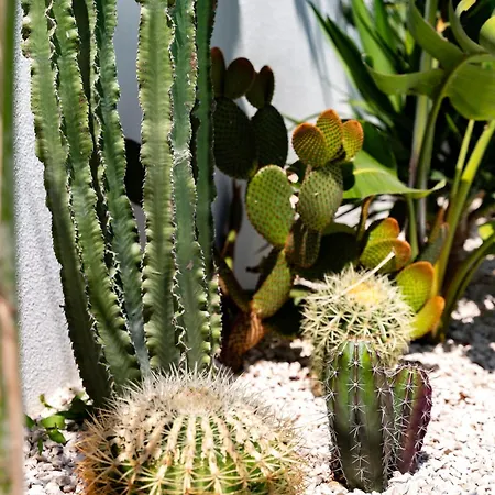 La Selva - Marlu House -