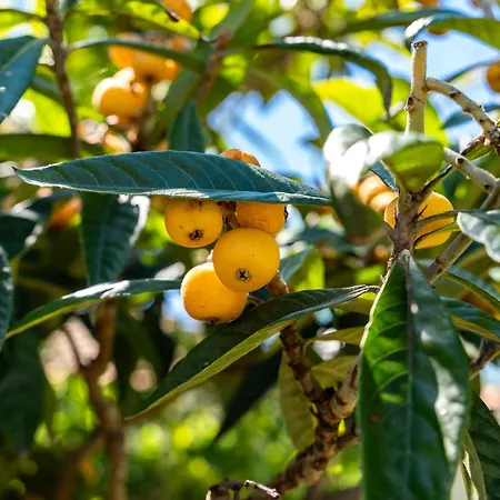 Hébergement de vacances La Selva - Marlù House -
