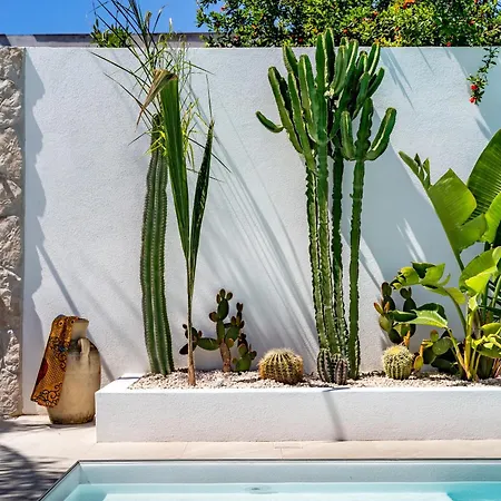 La Selva - Marlu House -