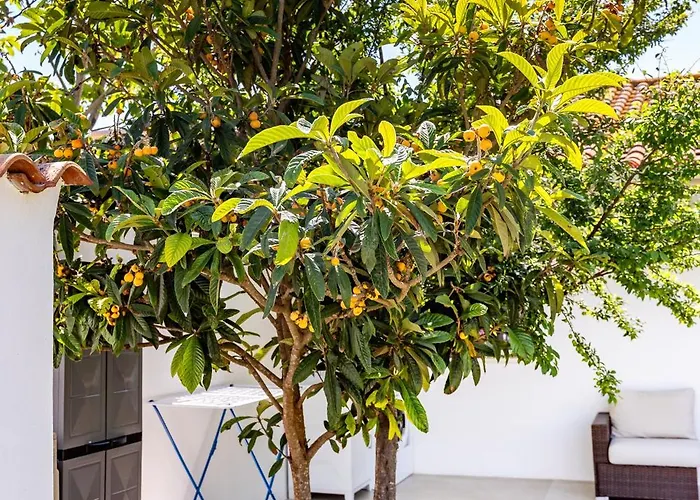 בית נופש La Selva - Marlu House - *